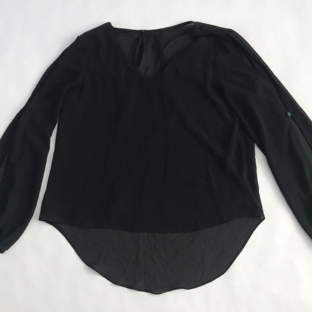 Delicate sheer long sleeve